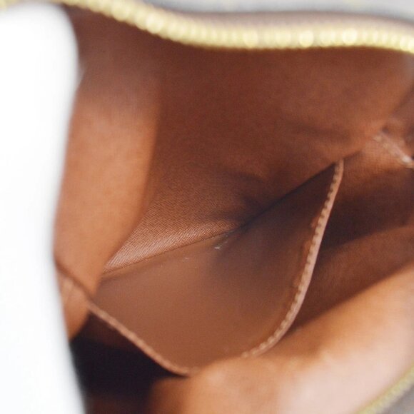 Louis Vuitton Monogram Amazon Crossbody Bag - Picture 9 of 13